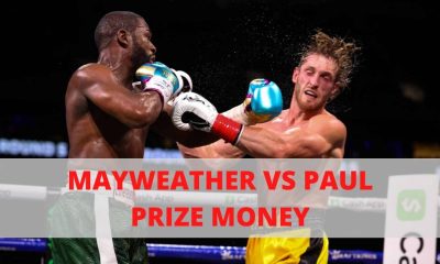 Floyd Mayweather and Logan Paul Boxing